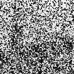CA denoising