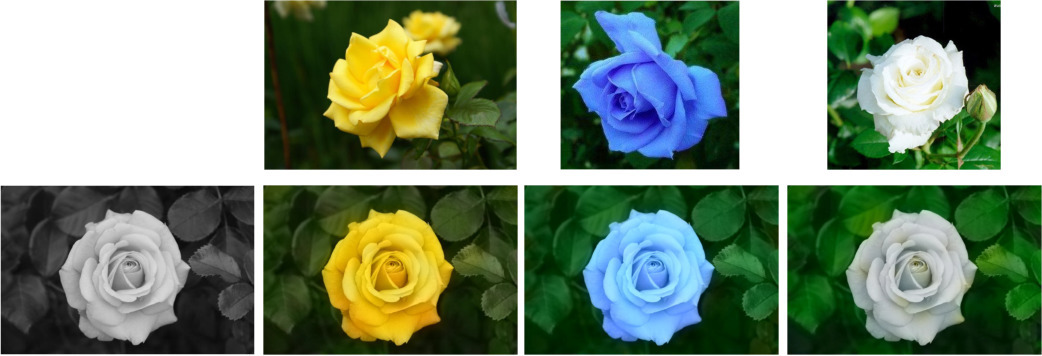 multiple colourisations