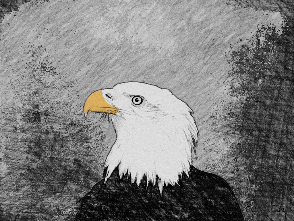 bird